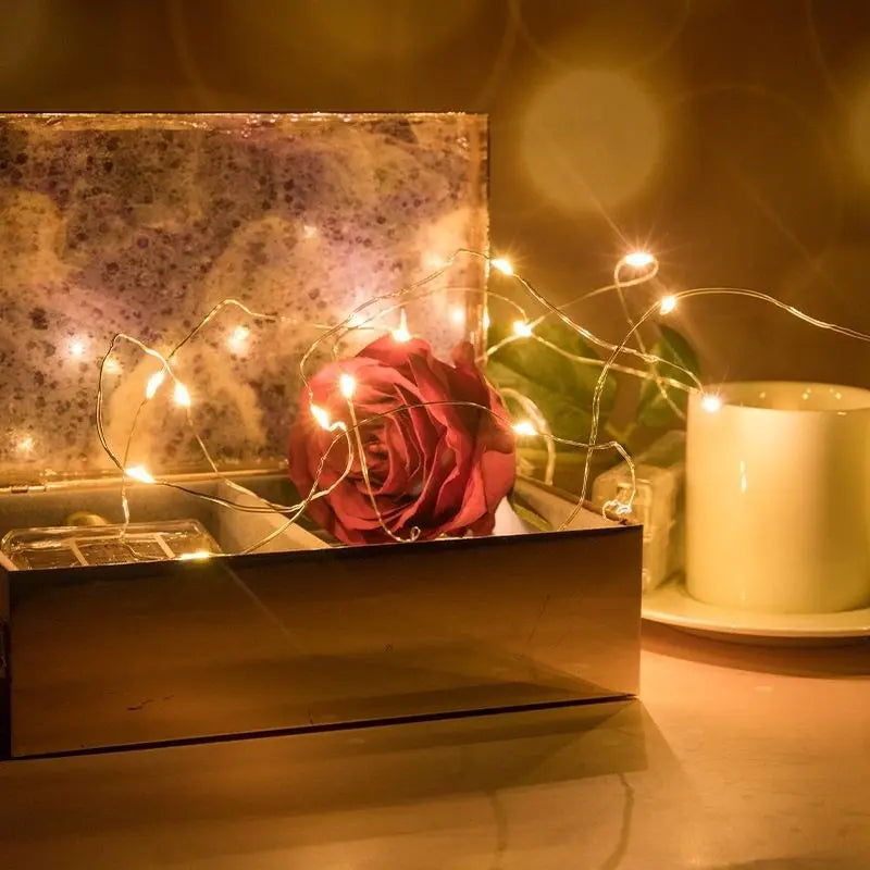 Fio De Fada 2M Com Luzes Led Fada Para Decoração De Casa e Natal Festa